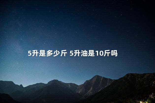 5升是多少斤 5升油是10斤吗